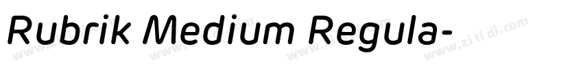 Rubrik Medium Regula字体转换